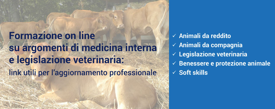 Formazione online medicina veterinaria